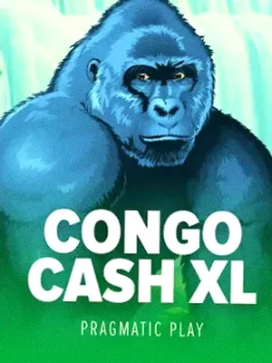 Congo Cash XL at Pink
