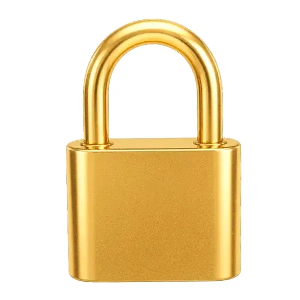 Orange padlock — Pink