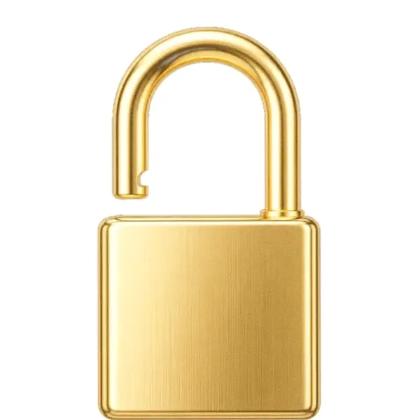 Padlock — Pink